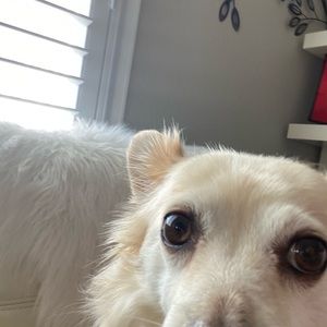 Meet your Posher, Tiffini